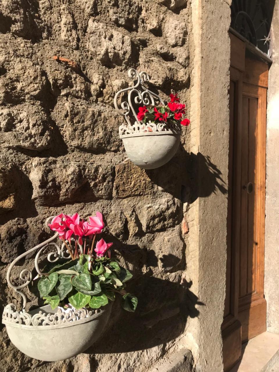 Il Gallo Viterbo Dış mekan fotoğraf